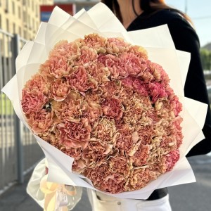 51 розово-персиковая гвоздика