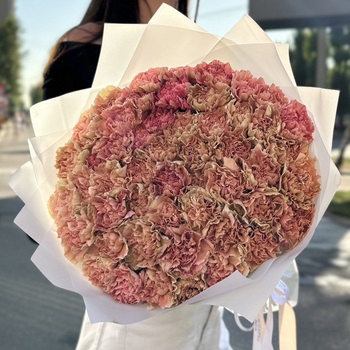 51 розово-персиковая гвоздика