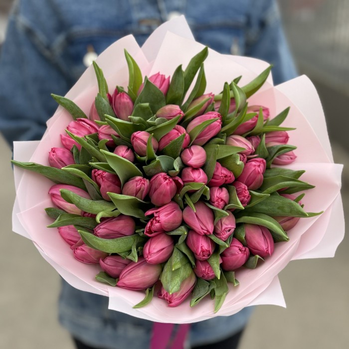 51 розовый тюльпан Квин оф Марвел