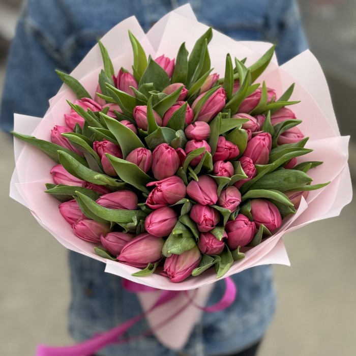 51 розовый тюльпан Квин оф Марвел