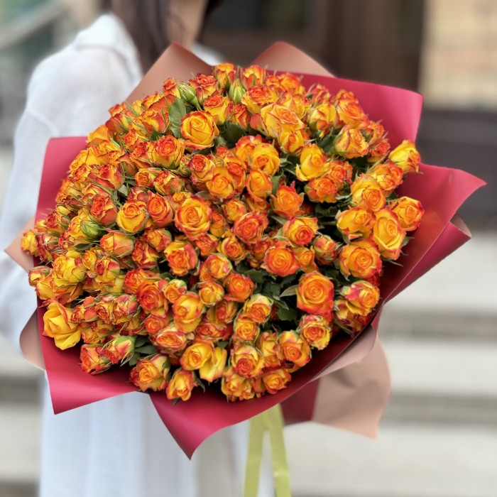 51 солнечная кустовая роза