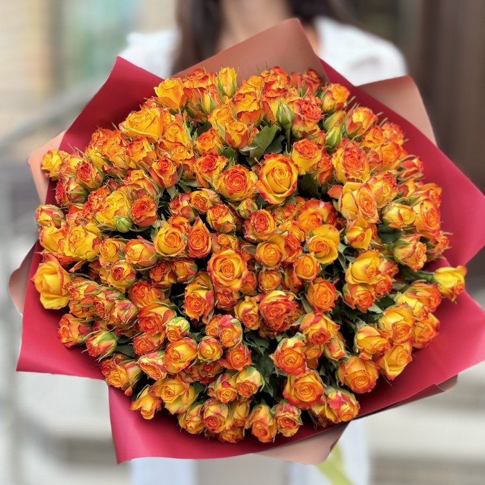 51 солнечная кустовая роза