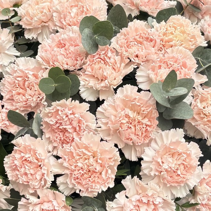 51 светло-розовая гвоздика в корзине с эвкалиптом