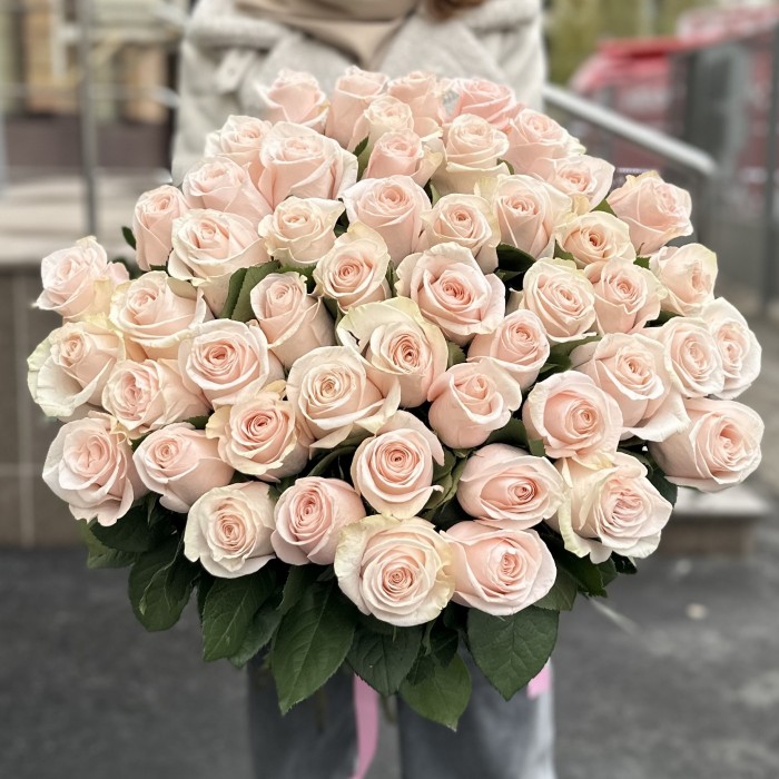 51 высокая светло-розовая роза Помароса