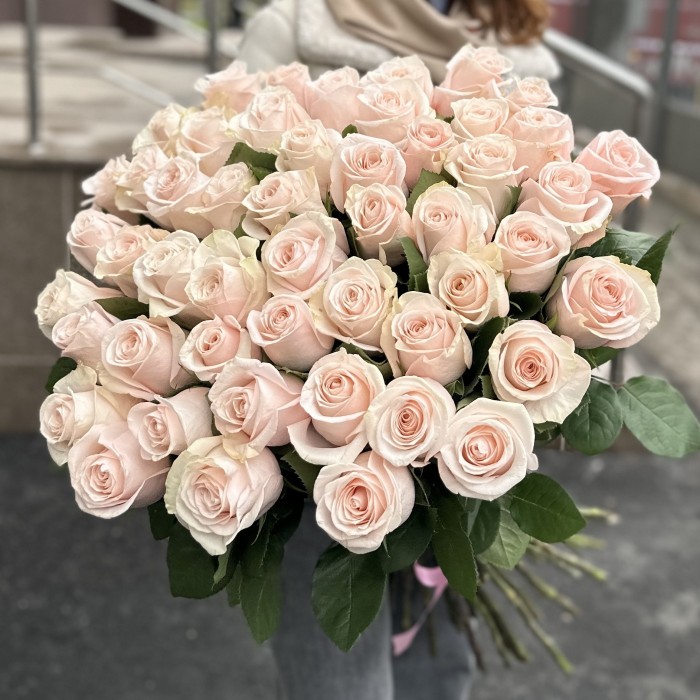 51 высокая светло-розовая роза Помароса