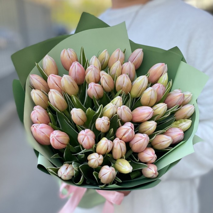 51 тюльпан Марк Дизайн