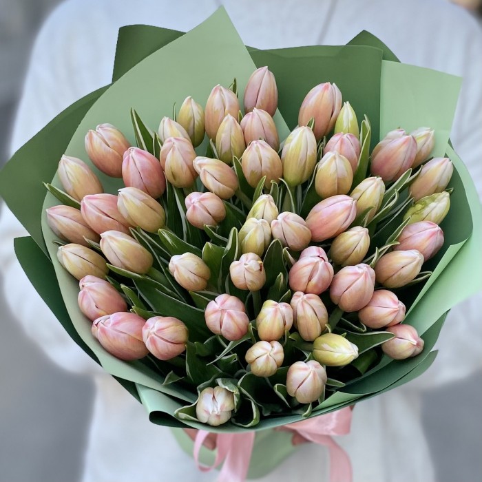 51 тюльпан Марк Дизайн