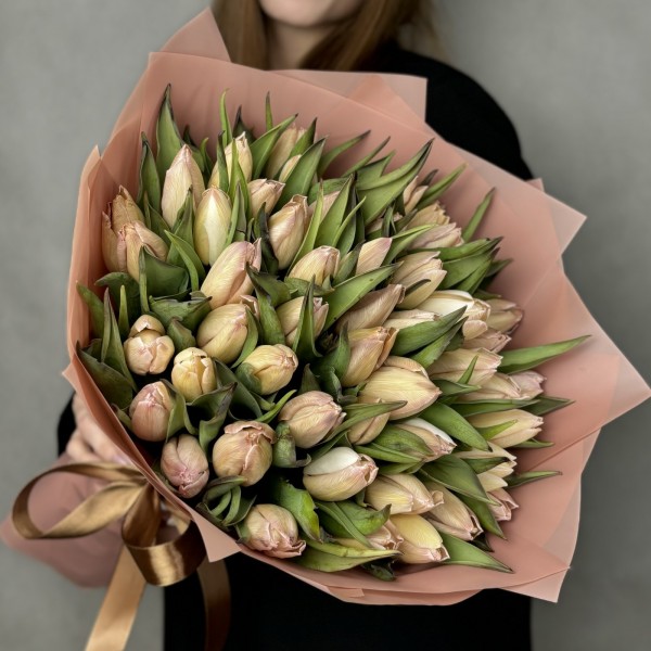 51 тюльпан Мокко