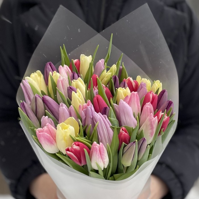 51 тюльпан микс пастельных оттенков