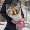 51 тюльпан микс пастельных оттенков