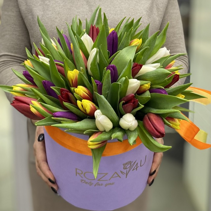 51 тюльпан в лиловой коробке