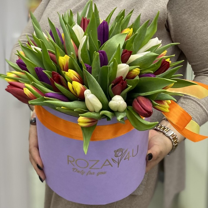 51 тюльпан в лиловой коробке