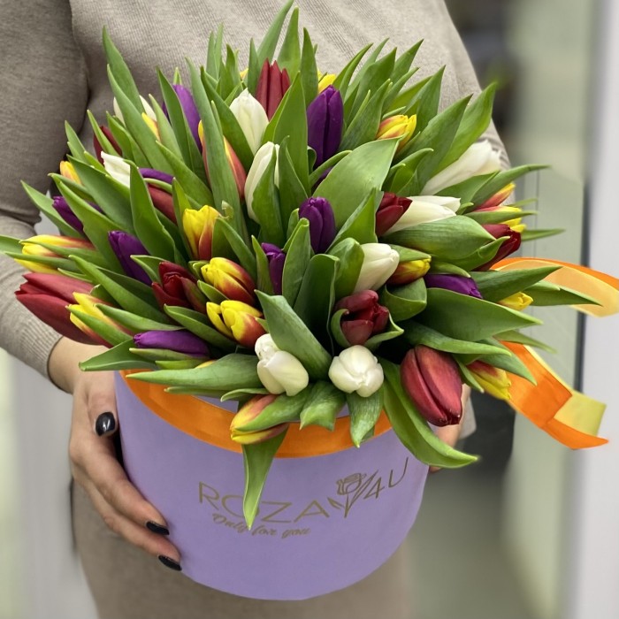 51 тюльпан в лиловой коробке