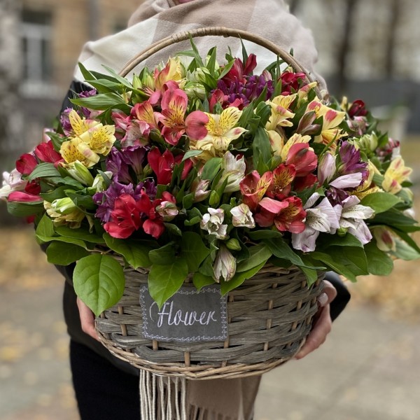 51 яркая альстромерия в корзине