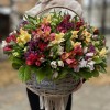 51 яркая альстромерия в корзине