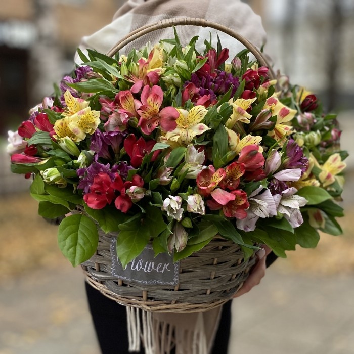 51 яркая альстромерия в корзине