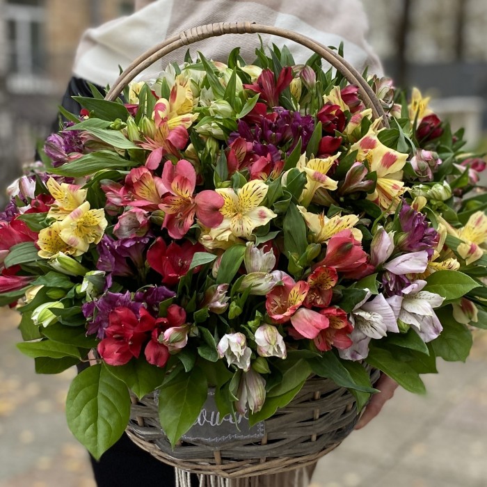 51 яркая альстромерия в корзине