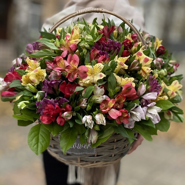 51 яркая альстромерия в корзине