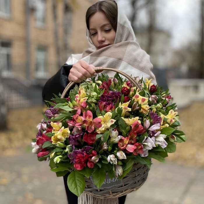 51 яркая альстромерия в корзине