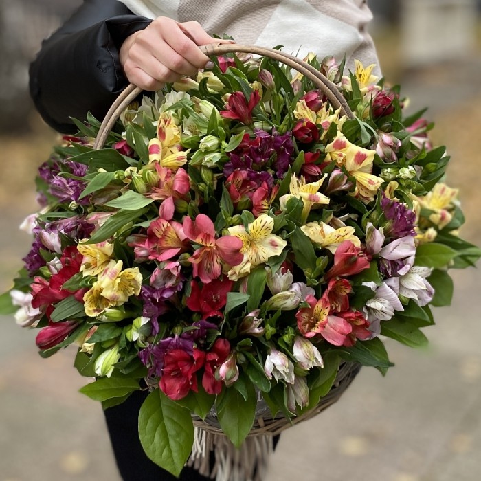 51 яркая альстромерия в корзине