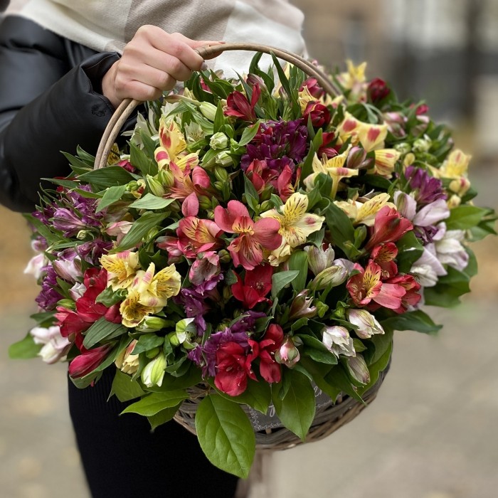 51 яркая альстромерия в корзине