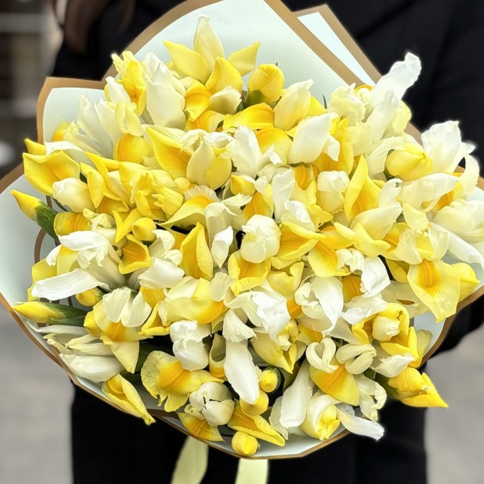 51 желтый ирис в букете