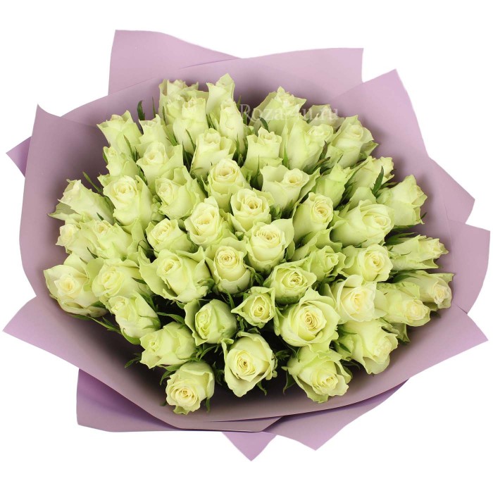 51 белая роза "Athena"