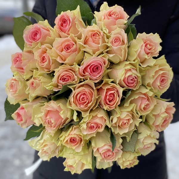 Роза Бэби Лав