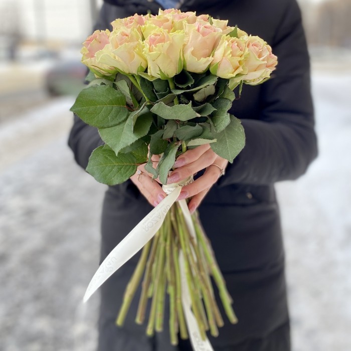 Роза Бэби Лав