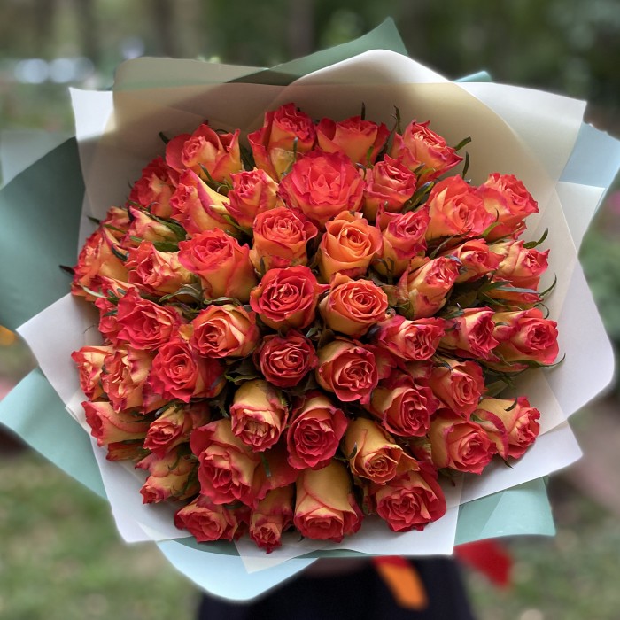 51 оранжевая роза Double Dance