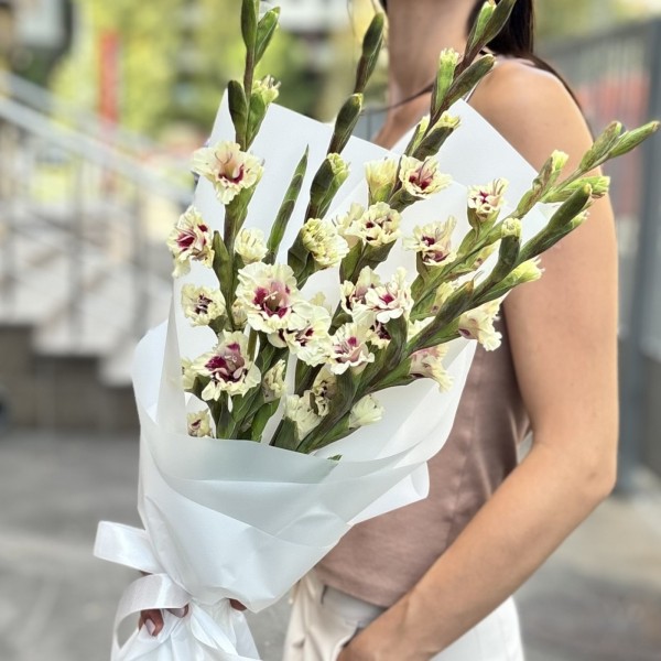 5 бело-фиолетовых гладиолусов