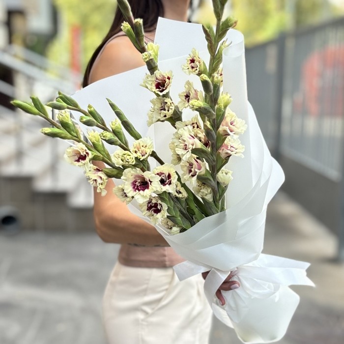 5 бело-фиолетовых гладиолусов