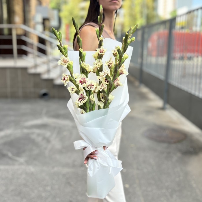 5 бело-фиолетовых гладиолусов