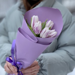 5 бело-фиолетовых тюльпанов Флеминг Флег