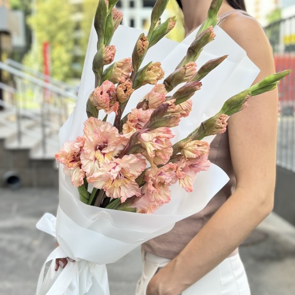 5 бело-розовых гладиолусов