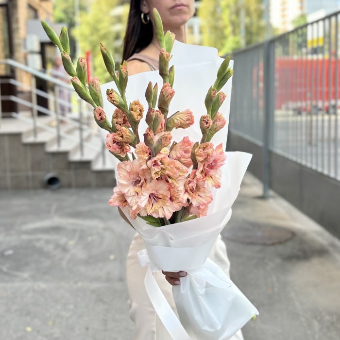 5 бело-розовых гладиолусов