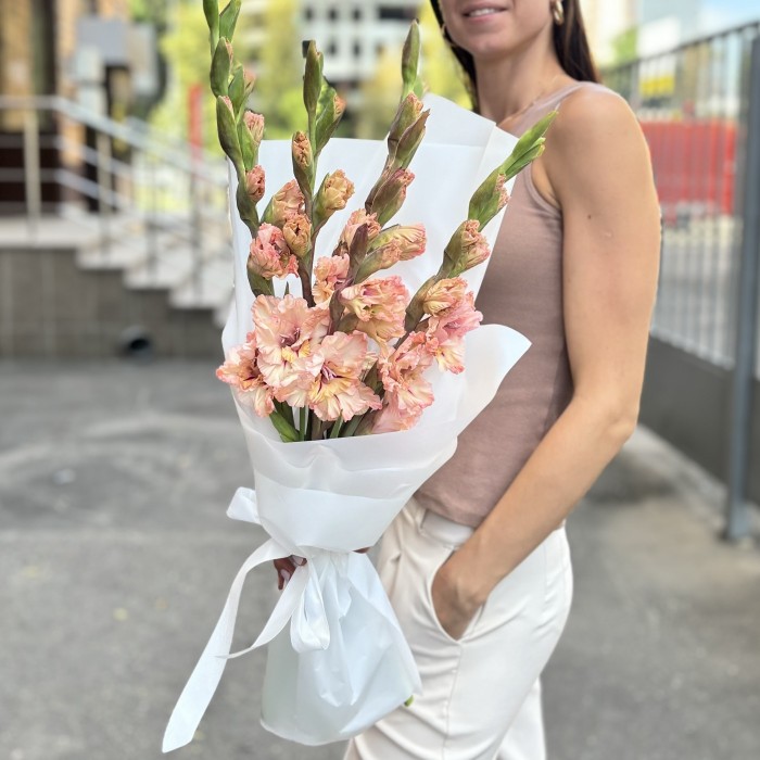 5 бело-розовых гладиолусов