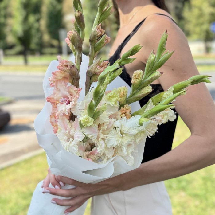 5 бело-розовых гладиолусов