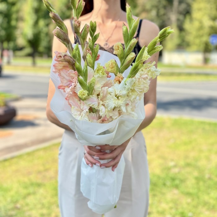 5 бело-розовых гладиолусов