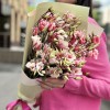Букет из 5 бело-розовых крашеных эустом