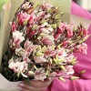 Букет из 5 бело-розовых крашеных эустом