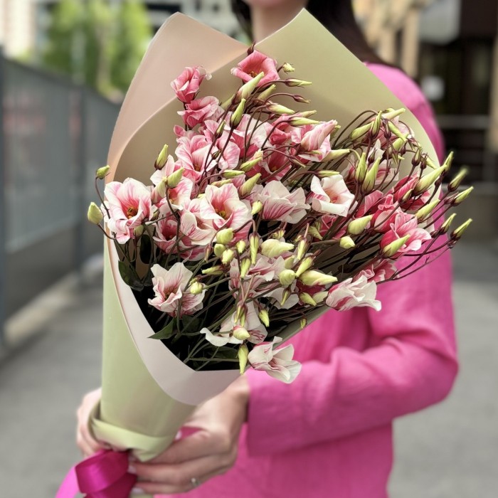 Букет из 5 бело-розовых крашеных эустом