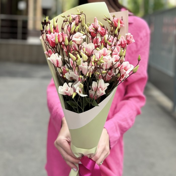 Букет из 5 бело-розовых крашеных эустом