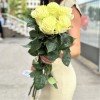 5 белых роз Мондиаль 80 см
