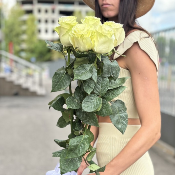 5 белых роз Мондиаль 80 см