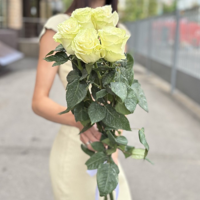 5 белых роз Мондиаль 80 см