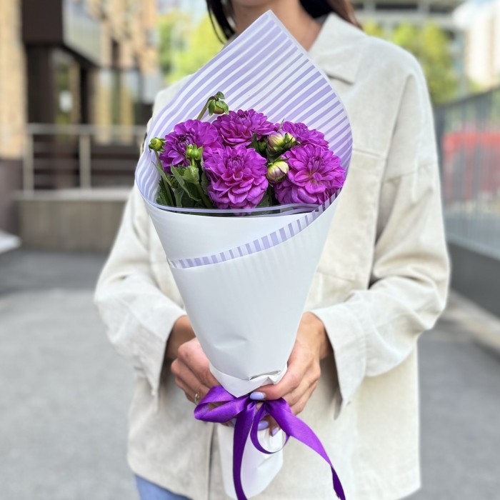 5 фиолетовых георгин