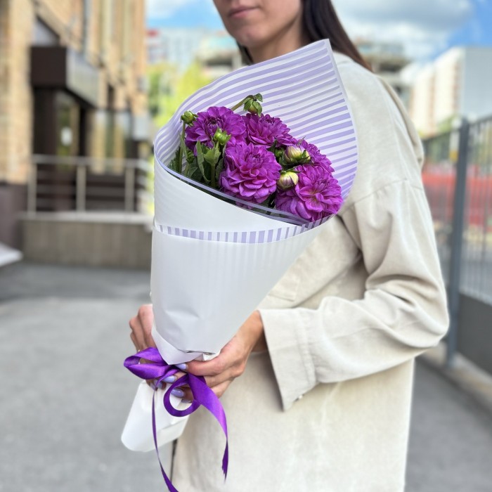 5 фиолетовых георгин