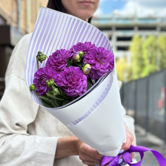 5 фиолетовых георгин