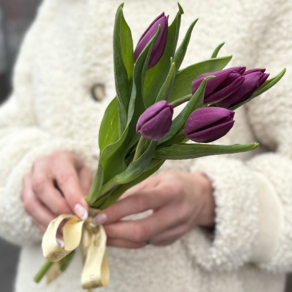 5 фиолетовых тюльпанов